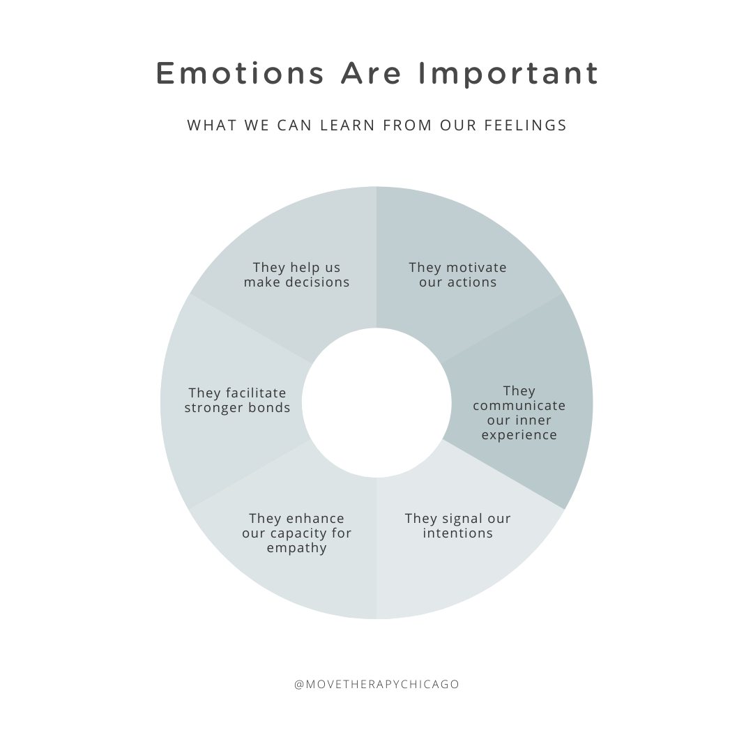 The Importance of Feelings